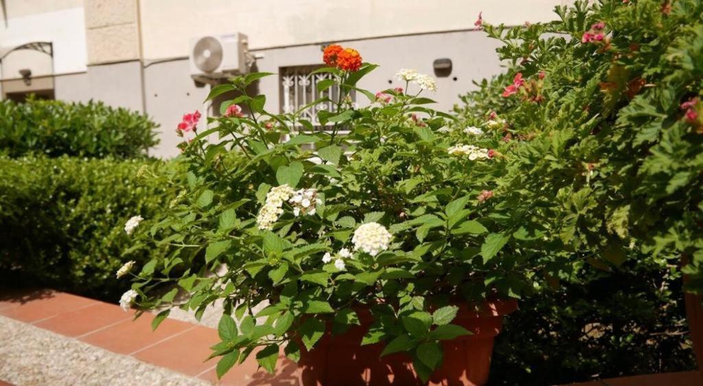 House With Garden And Parking Space In Mergellina Neapel Exterior foto